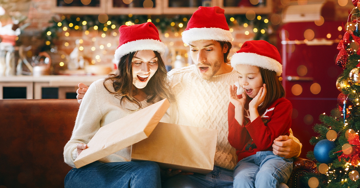 The ultimate Christmas gift is the gift of home security complete with 24/7 monitoring from Premier Security and includes a free system, you'll only pay for the monitoring starting at $1 per day